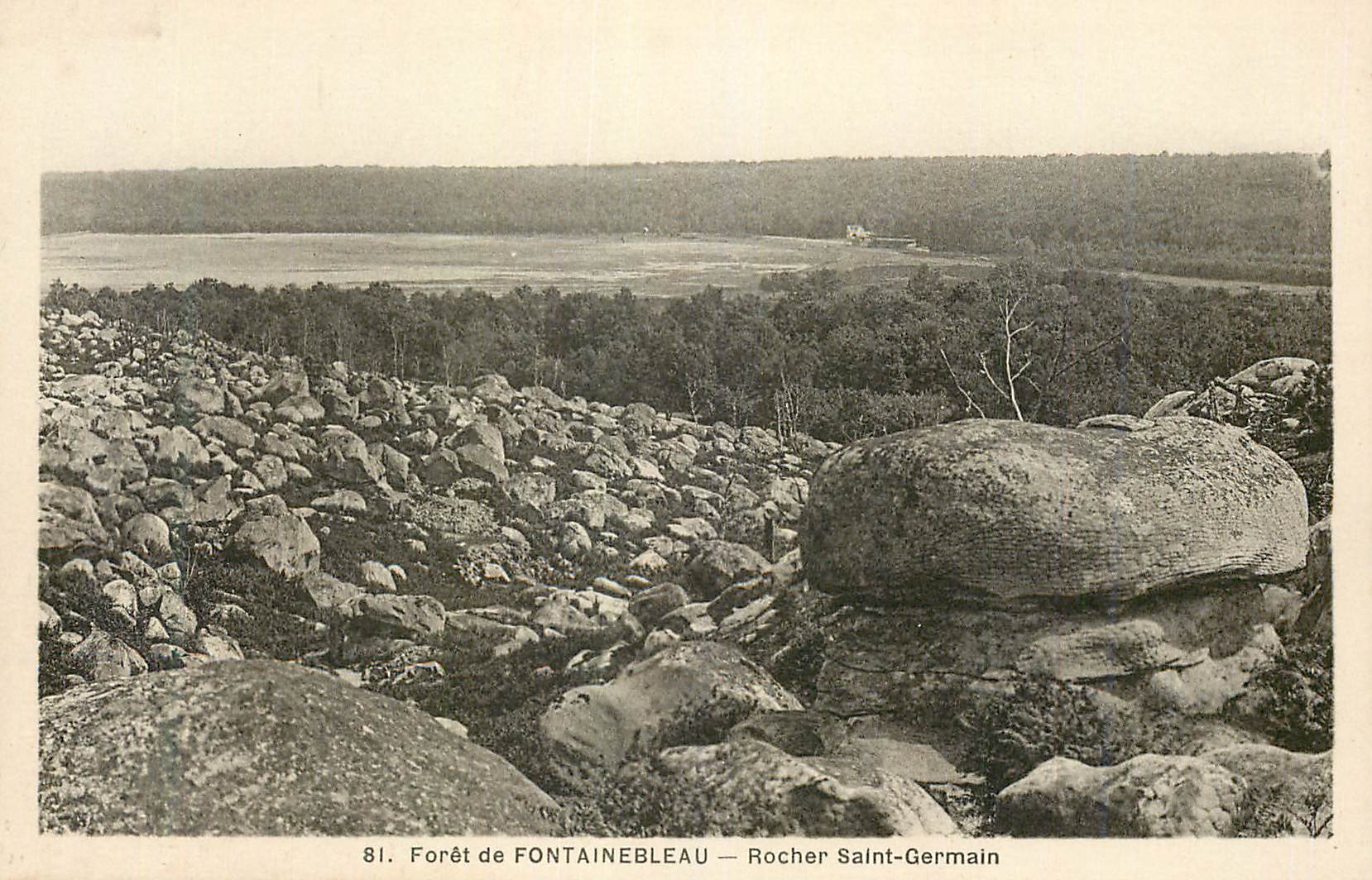 Bosque de FONTAINEBLEAU — Roche Saint-Germain